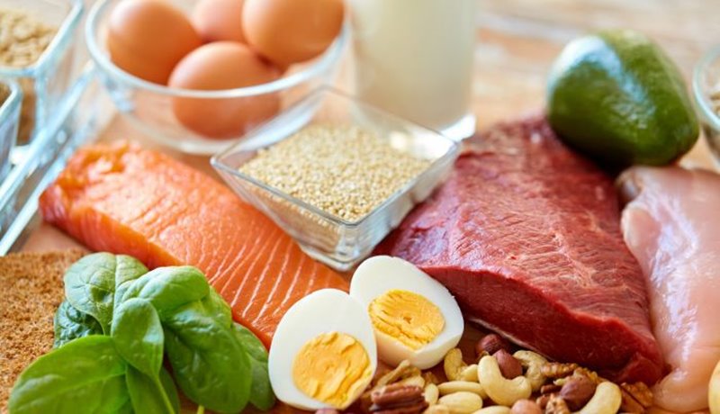 alimentos ricos em fibras e proteínas